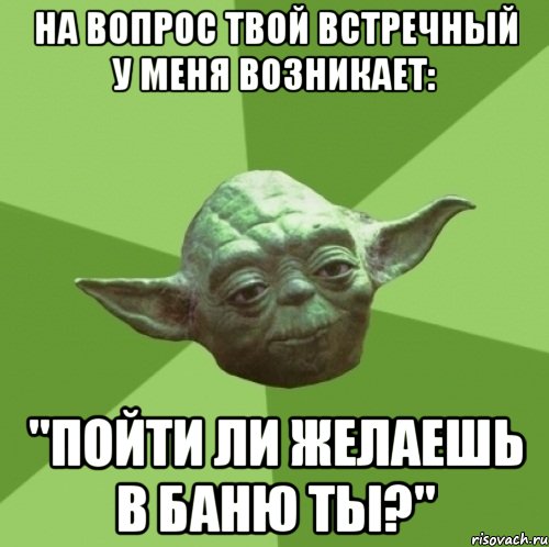 на вопрос твой встречный у меня возникает: "пойти ли желаешь в баню ты?", Мем Мастер Йода