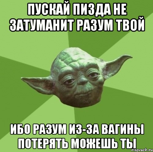 пускай пизда не затуманит разум твой ибо разум из-за вагины потерять можешь ты, Мем Мастер Йода