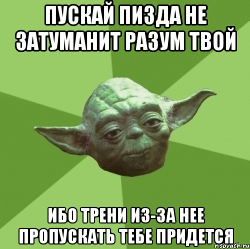 пускай пизда не затуманит разум твой ибо трени из-за нее пропускать тебе придется, Мем Мастер Йода