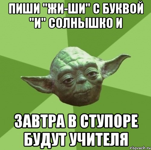 пиши "жи-ши" с буквой "и" солнышко и завтра в ступоре будут учителя, Мем Мастер Йода