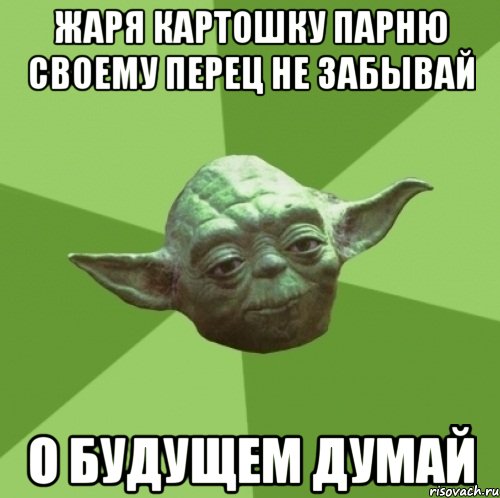 жаря картошку парню своему перец не забывай о будущем думай, Мем Мастер Йода