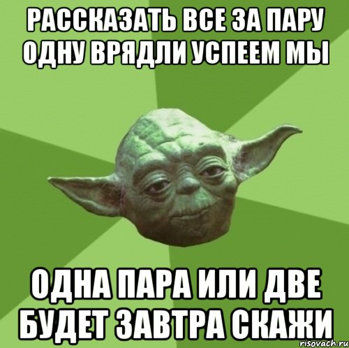 рассказать все за пару одну врядли успеем мы одна пара или две будет завтра скажи, Мем Мастер Йода