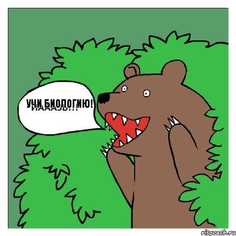 Учи биологию! 
