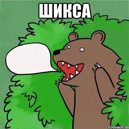 шикса , Мем Медведь