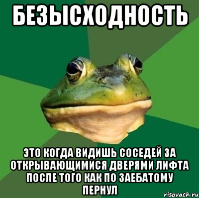 безысходность это когда видишь соседей за открывающимися дверями лифта после того как по заебатому пернул, Мем  Мерзкая жаба