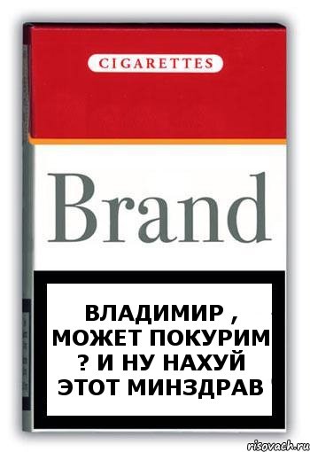 ВЛАДИМИР , МОЖЕТ ПОКУРИМ ? И НУ НАХУЙ ЭТОТ МИНЗДРАВ, Комикс Минздрав