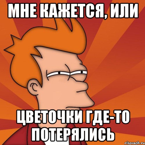 мне кажется, или цветочки где-то потерялись, Мем Мне кажется или (Фрай Футурама)