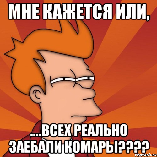 мне кажется или, ....всех реально заебали комары???, Мем Мне кажется или (Фрай Футурама)