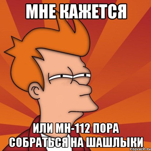 мне кажется или мн-112 пора собраться на шашлыки, Мем Мне кажется или (Фрай Футурама)