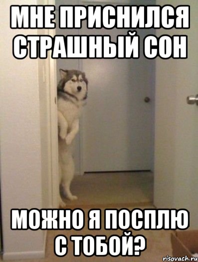 мне приснился страшный сон можно я посплю с тобой?, Мем мне приснился страшный сон можно