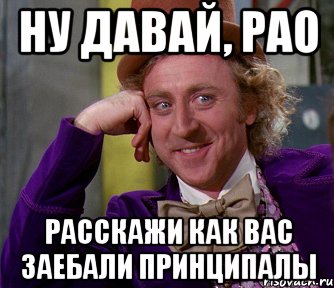 ну давай, рао расскажи как вас заебали принципалы, Мем мое лицо