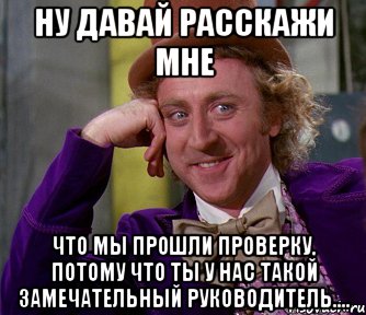 ну давай расскажи мне что мы прошли проверку, потому что ты у нас такой замечательный руководитель...., Мем мое лицо