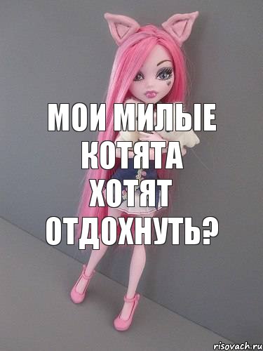 мои милые котята хотят отдохнуть?