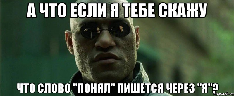 а что если я тебе скажу что слово "понял" пишется через "я"?, Мем  морфеус