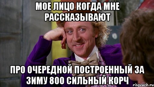 мое лицо когда мне рассказывают про очередной построенный за зиму 800 сильный корч, Мем Ну давай расскажи (Вилли Вонка)