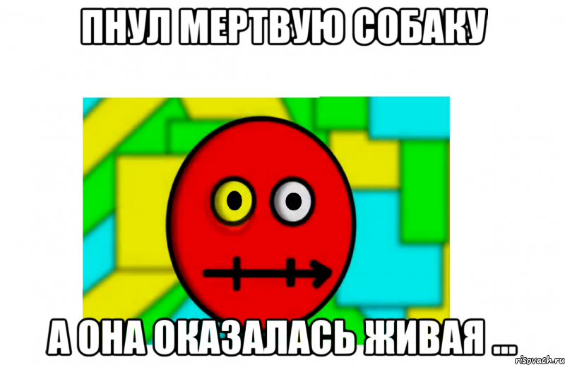 пнул мертвую собаку а она оказалась живая ..., Мем МОЁ ВЫРАЖЕНИЕ ЛИЦА