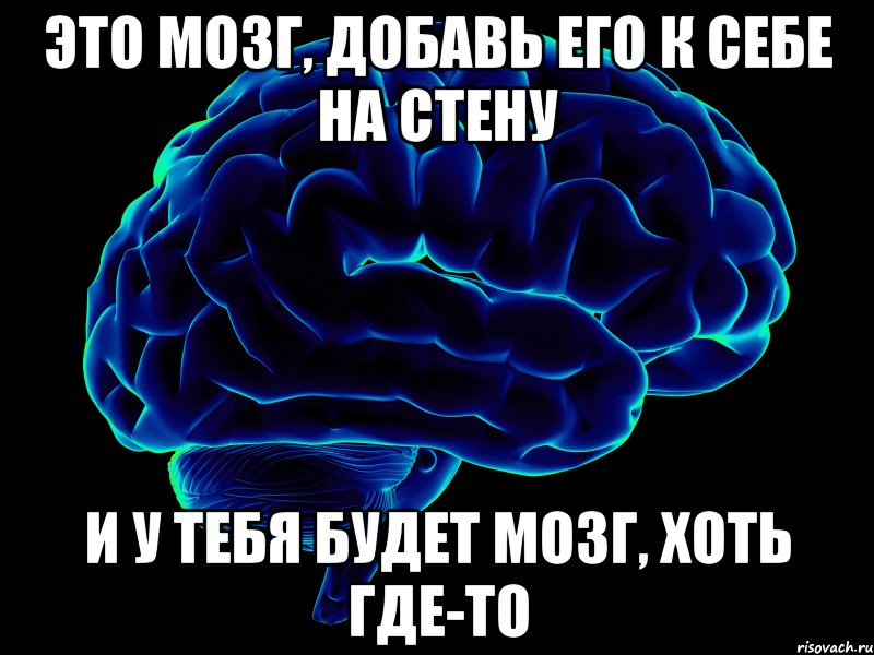 это мозг, добавь его к себе на стену и у тебя будет мозг, хоть где-то, Мем мозг