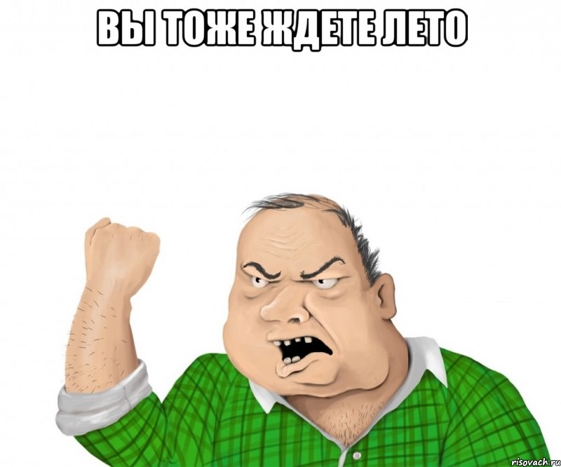 вы тоже ждете лето , Мем мужик