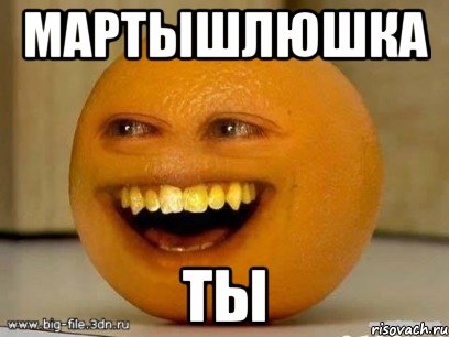мартышлюшка ты, Мем Надоедливый апельсин