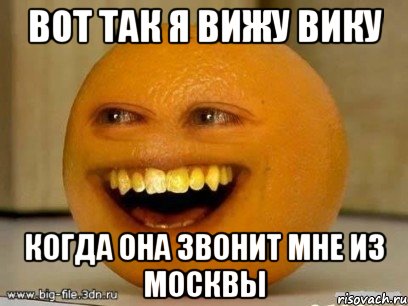вот так я вижу вику когда она звонит мне из москвы, Мем Надоедливый апельсин