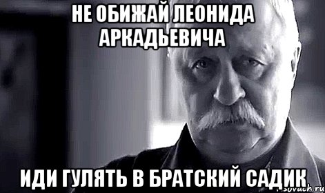 не обижай леонида аркадьевича иди гулять в братский садик, Мем Не огорчай Леонида Аркадьевича