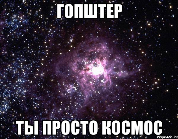 гопштер ты просто космос