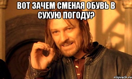 вот зачем сменая обувь в сухую погоду? , Мем Нельзя просто так взять и (Боромир мем)