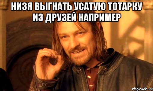 низя выгнать усатую тотарку из друзей например , Мем Нельзя просто так взять и (Боромир мем)