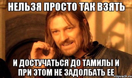 нельзя просто так взять и достучаться до тамилы и при этом не задолбать ее, Мем Нельзя просто так взять и (Боромир мем)