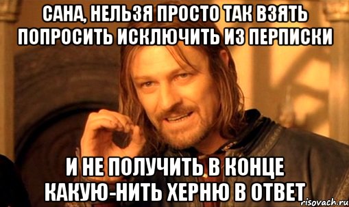 сана, нельзя просто так взять попросить исключить из перписки и не получить в конце какую-нить херню в ответ, Мем Нельзя просто так взять и (Боромир мем)