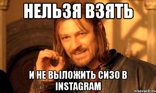 нельзя взять и не выложить сизо в instagram, Мем Нельзя просто так взять и (Боромир мем)