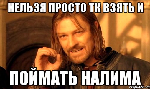 нельзя просто тк взять и поймать налима, Мем Нельзя просто так взять и (Боромир мем)