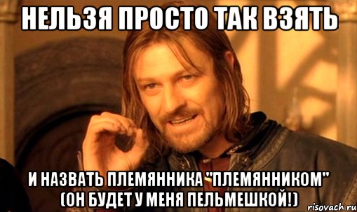 нельзя просто так взять и назвать племянника "племянником" (он будет у меня пельмешкой!), Мем Нельзя просто так взять и (Боромир мем)