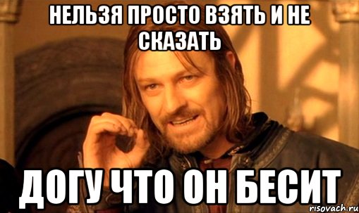 нельзя просто взять и не сказать догу что он бесит