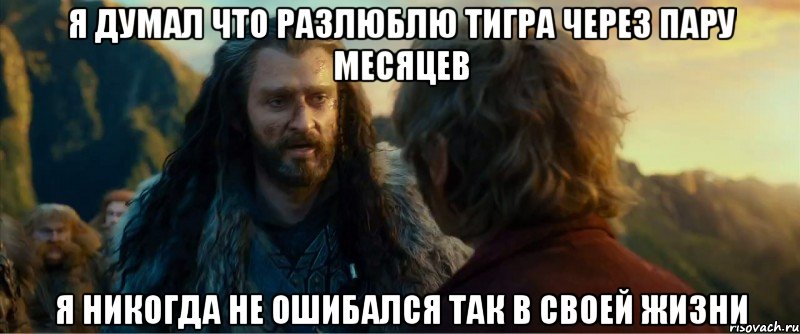 я думал что разлюблю тигра через пару месяцев я никогда не ошибался так в своей жизни, Мем никогда еще так не ошибался