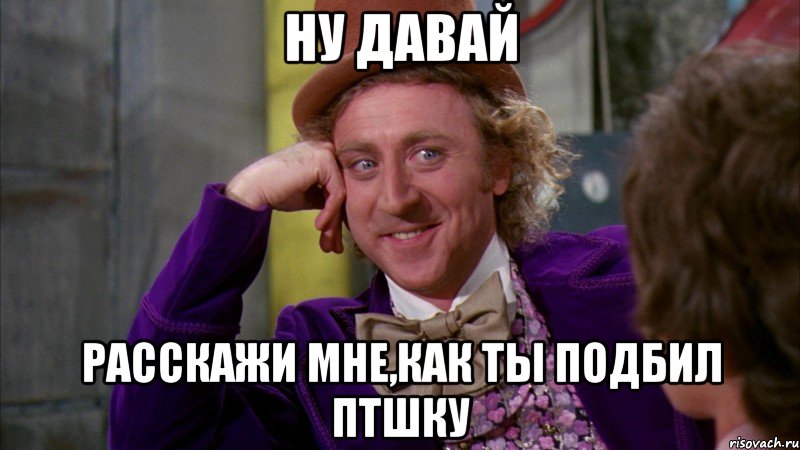 ну давай расскажи мне,как ты подбил птшку, Мем Ну давай расскажи (Вилли Вонка)