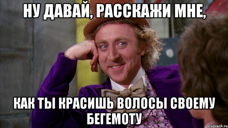 ну давай, расскажи мне, как ты красишь волосы своему бегемоту, Мем Ну давай расскажи (Вилли Вонка)