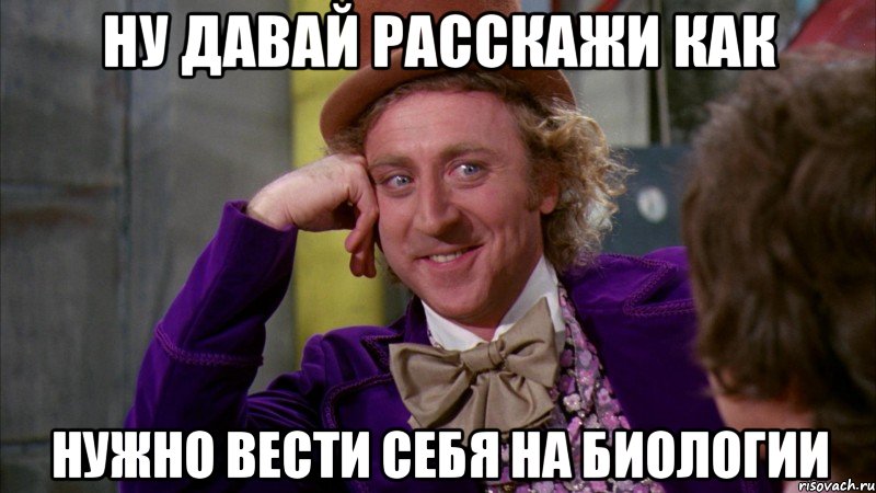 ну давай расскажи как нужно вести себя на биологии, Мем Ну давай расскажи (Вилли Вонка)