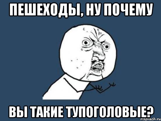 пешеходы, ну почему вы такие тупоголовые?, Мем Ну почему