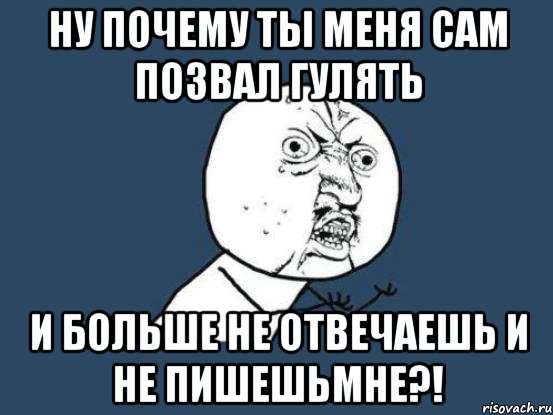 ну почему ты меня сам позвал гулять и больше не отвечаешь и не пишешьмне?!, Мем Ну почему