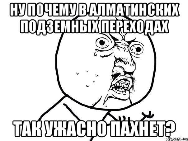 ну почему в алматинских подземных переходах так ужасно пахнет?, Мем Ну почему (белый фон)