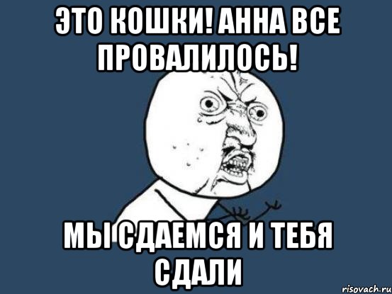 это кошки! анна все провалилось! мы сдаемся и тебя сдали, Мем Ну почему