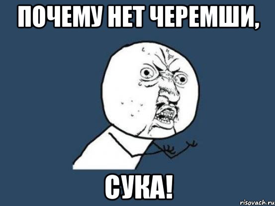 почему нет черемши, сука!, Мем Ну почему