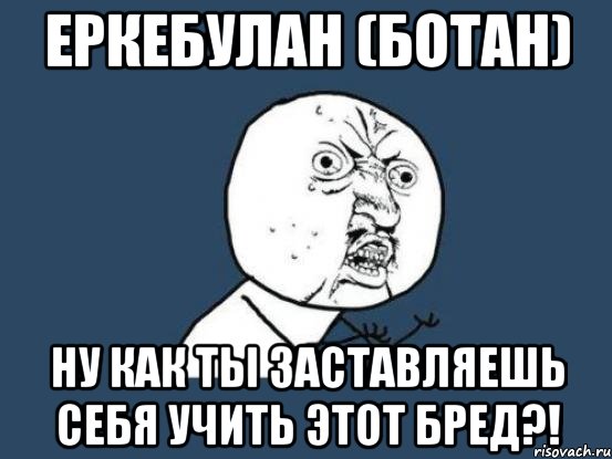 еркебулан (ботан) ну как ты заставляешь себя учить этот бред?!, Мем Ну почему