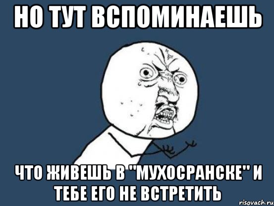 но тут вспоминаешь что живешь в "мухосранске" и тебе его не встретить, Мем Ну почему