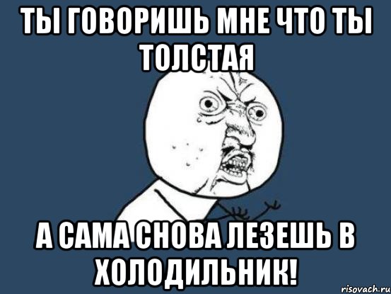 ты говоришь мне что ты толстая а сама снова лезешь в холодильник!, Мем Ну почему