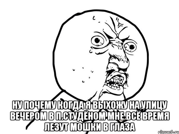  ну почему когда я выхожу на улицу вечером в п.студёном мне всё время лезут мошки в глаза, Мем Ну почему (белый фон)