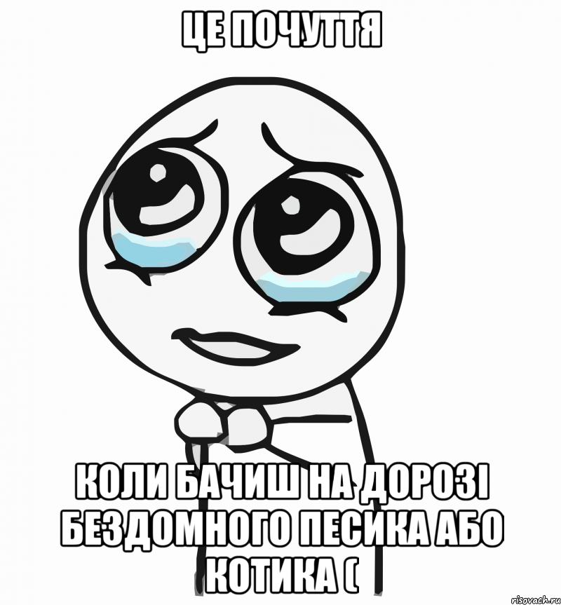 це почуття коли бачиш на дорозі бездомного песика або котика (, Мем  ну пожалуйста (please)