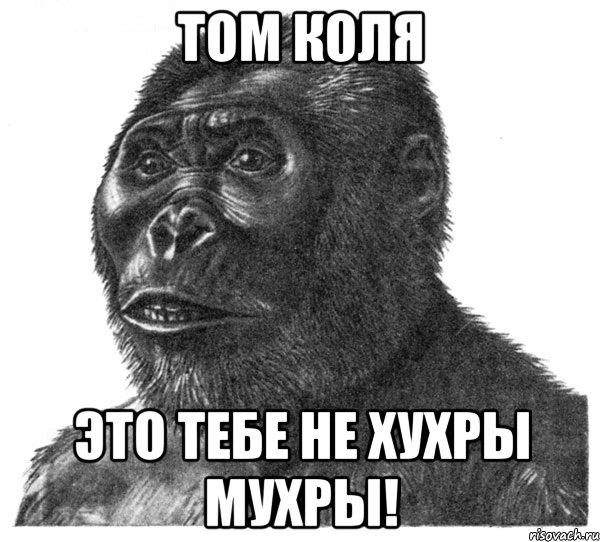 том коля это тебе не хухры мухры!