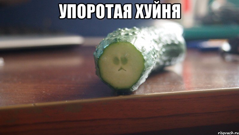 упоротая хуйня 